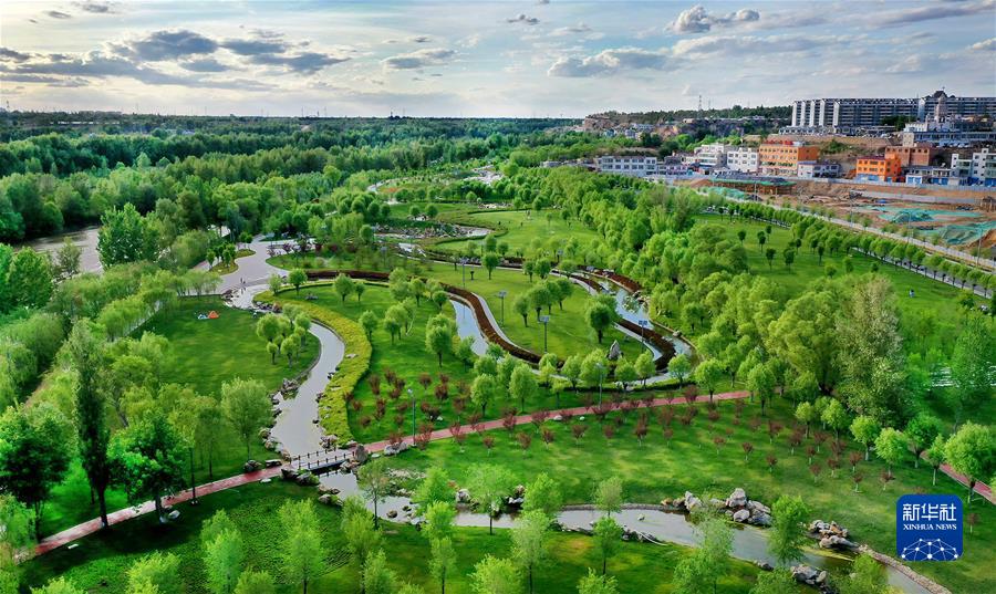 （新華全媒頭條·聚焦生物多樣性大會·圖文互動）（4）攜手同行，開啟人類高質(zhì)量發(fā)展新征程——習近平主席在《生物多樣性公約》第十五次締約方大會領(lǐng)導人峰會上的主旨講話解讀