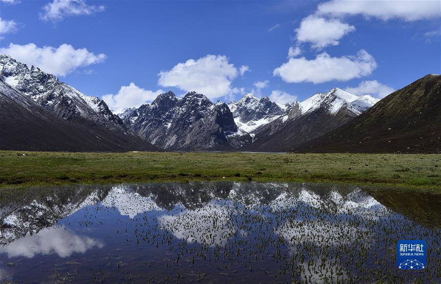 （新華全媒頭條·聚焦生物多樣性大會·圖文互動）（7）攜手同行，開啟人類高質(zhì)量發(fā)展新征程——習近平主席在《生物多樣性公約》第十五次締約方大會領(lǐng)導人峰會上的主旨講話解讀